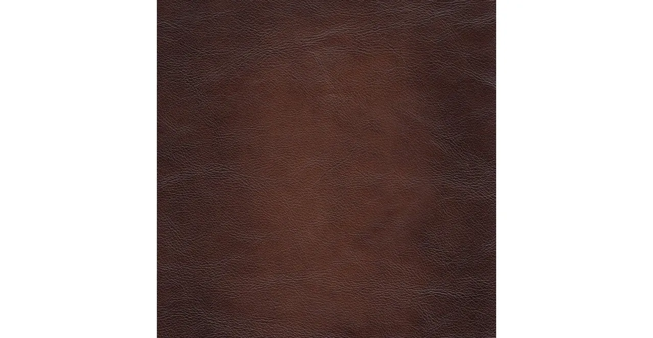 Aliso Leather Sectional Collection, Caramel Brown