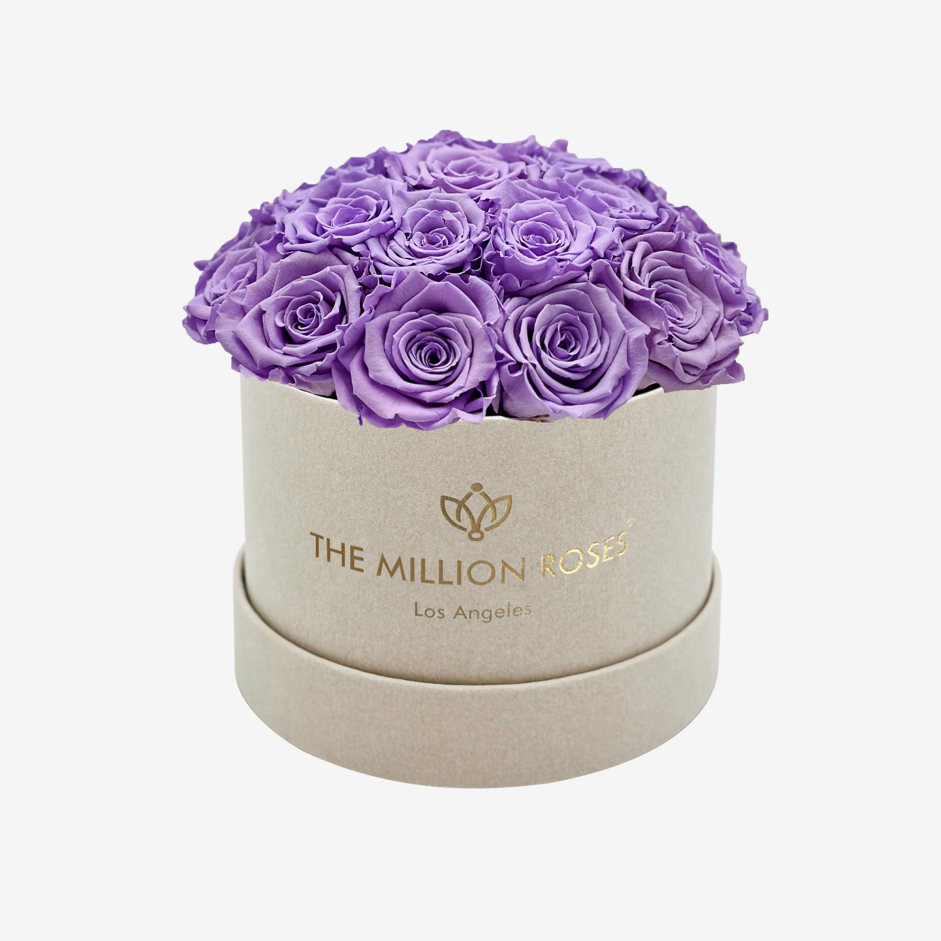 Classic Beige Suede Dome Box | Lavender Roses