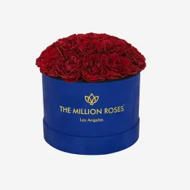 Classic Royal Blue Suede Dome Box | Red Carmen Roses