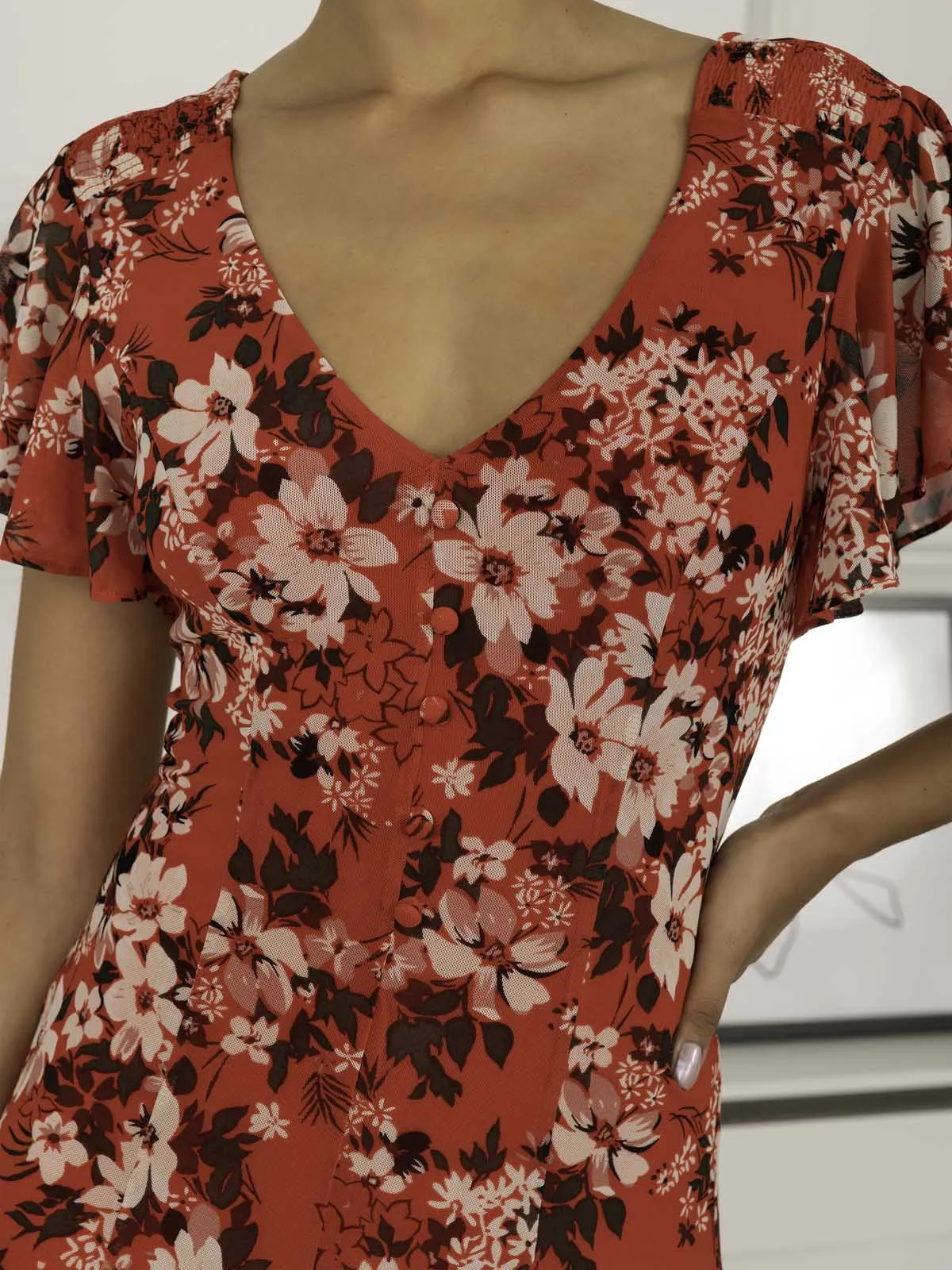 Colette Fit & Flare Mesh Dress, Red Floral