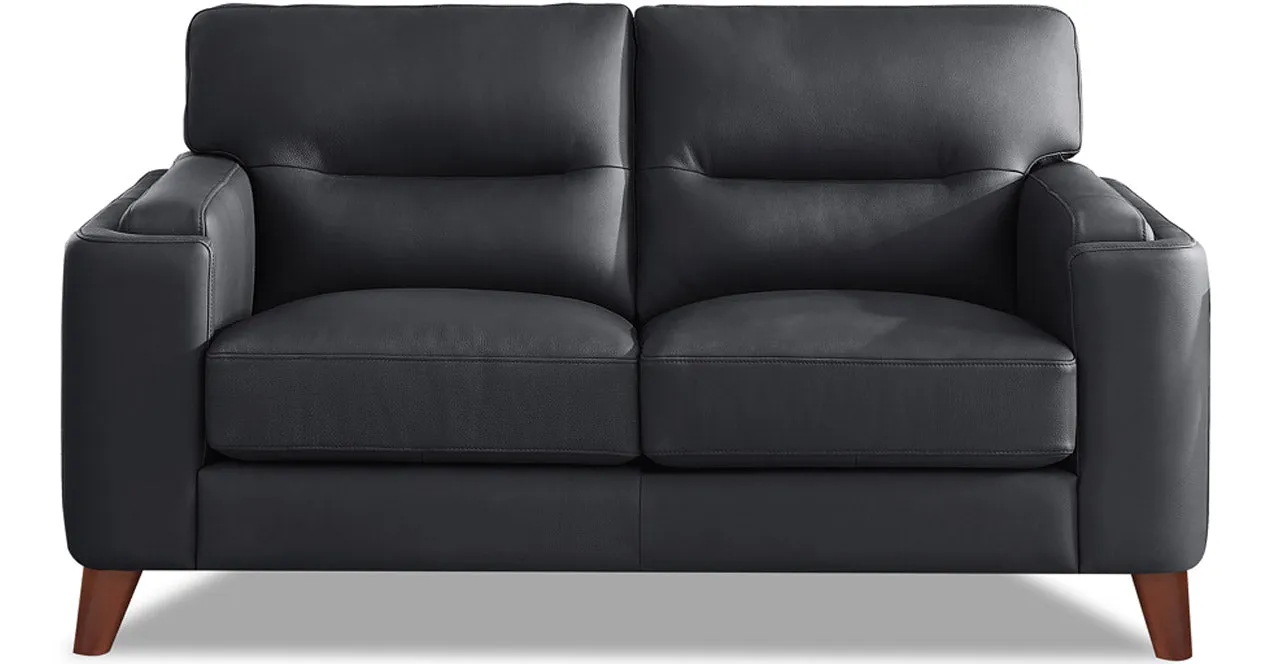 Elm Leather 2 Seater Sofa Collection, Charles Black